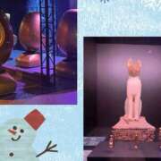 ヒメ日記 2025/12/31 19:15 投稿 鶴野姉さん 男性機能鍛錬道場