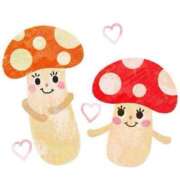 ヒメ日記 2026/02/21 20:51 投稿 鶴野姉さん 男性機能鍛錬道場