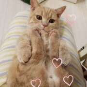 ヒメ日記 2026/03/11 20:47 投稿 鶴野姉さん 男性機能鍛錬道場