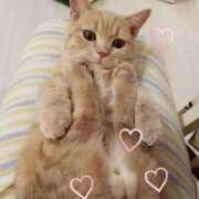 鶴野姉さん こんにちは♪ 男性機能鍛錬道場