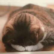 ヒメ日記 2025/01/22 22:36 投稿 しおん 熟女の風俗最終章 蒲田店