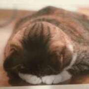 ヒメ日記 2025/05/28 22:44 投稿 しおん 熟女の風俗最終章 蒲田店