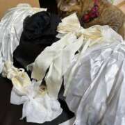 ヒメ日記 2025/09/18 17:14 投稿 るい #AMUSE甲府店