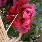 ヒメ日記 2025/02/11 17:05 投稿 上原姉さん 男性機能鍛錬道場