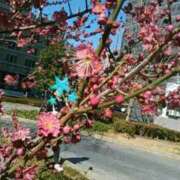 ヒメ日記 2025/02/16 12:01 投稿 上原姉さん 男性機能鍛錬道場