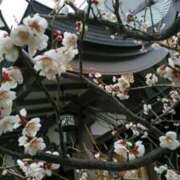 ヒメ日記 2025/02/23 12:44 投稿 上原姉さん 男性機能鍛錬道場