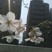 ヒメ日記 2025/03/26 12:04 投稿 上原姉さん 男性機能鍛錬道場