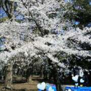 ヒメ日記 2025/04/04 17:35 投稿 上原姉さん 男性機能鍛錬道場