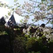 ヒメ日記 2025/04/08 12:21 投稿 上原姉さん 男性機能鍛錬道場