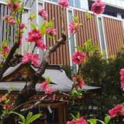 ヒメ日記 2025/04/13 11:58 投稿 上原姉さん 男性機能鍛錬道場