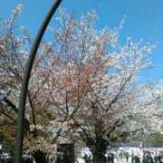 ヒメ日記 2025/04/14 12:34 投稿 上原姉さん 男性機能鍛錬道場