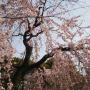 ヒメ日記 2025/04/20 11:35 投稿 上原姉さん 男性機能鍛錬道場