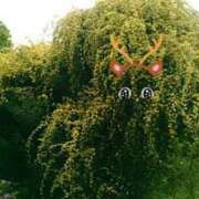 ヒメ日記 2025/04/27 12:22 投稿 上原姉さん 男性機能鍛錬道場