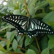 ヒメ日記 2025/06/02 13:20 投稿 上原姉さん 男性機能鍛錬道場