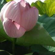 ヒメ日記 2025/07/22 11:54 投稿 上原姉さん 男性機能鍛錬道場