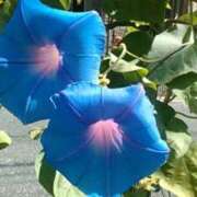 ヒメ日記 2025/09/03 12:34 投稿 上原姉さん 男性機能鍛錬道場