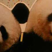 ヒメ日記 2025/10/14 12:52 投稿 上原姉さん 男性機能鍛錬道場