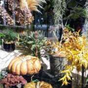 ヒメ日記 2025/10/19 12:04 投稿 上原姉さん 男性機能鍛錬道場