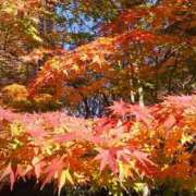 上原姉さん 紅葉👠 男性機能鍛錬道場