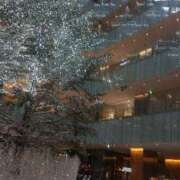 ヒメ日記 2025/12/14 11:31 投稿 上原姉さん 男性機能鍛錬道場