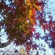 ヒメ日記 2025/12/16 12:27 投稿 上原姉さん 男性機能鍛錬道場