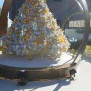 ヒメ日記 2025/12/21 11:35 投稿 上原姉さん 男性機能鍛錬道場