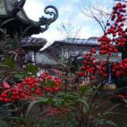 ヒメ日記 2026/01/02 14:34 投稿 上原姉さん 男性機能鍛錬道場