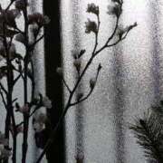 ヒメ日記 2026/01/06 11:35 投稿 上原姉さん 男性機能鍛錬道場