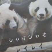 上原姉さん 🐼おはようございます🐼 男性機能鍛錬道場