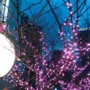 上原姉さん 🎆こんばんわ🎆 男性機能鍛錬道場