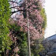 ヒメ日記 2026/02/06 17:17 投稿 上原姉さん 男性機能鍛錬道場