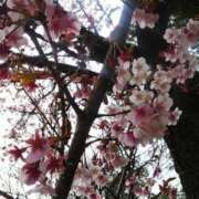 ヒメ日記 2026/02/17 17:35 投稿 上原姉さん 男性機能鍛錬道場