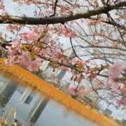 ヒメ日記 2026/02/22 16:46 投稿 上原姉さん 男性機能鍛錬道場