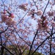 ヒメ日記 2026/02/27 13:13 投稿 上原姉さん 男性機能鍛錬道場