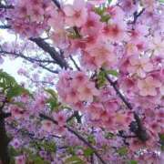 ヒメ日記 2026/02/28 15:11 投稿 上原姉さん 男性機能鍛錬道場