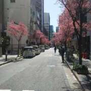 ヒメ日記 2026/03/08 11:19 投稿 上原姉さん 男性機能鍛錬道場