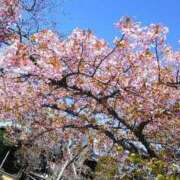 ヒメ日記 2026/03/11 11:38 投稿 上原姉さん 男性機能鍛錬道場