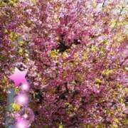 上原姉さん 🌸こんばんわ🌸 男性機能鍛錬道場