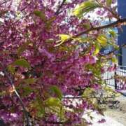 上原姉さん こんにちは😃✋👠 男性機能鍛錬道場