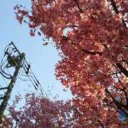 ヒメ日記 2026/03/22 10:55 投稿 上原姉さん 男性機能鍛錬道場