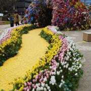 ヒメ日記 2026/03/25 13:19 投稿 上原姉さん 男性機能鍛錬道場