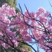 ヒメ日記 2026/03/26 23:58 投稿 上原姉さん 男性機能鍛錬道場