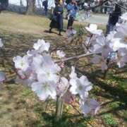 ヒメ日記 2026/03/27 19:34 投稿 上原姉さん 男性機能鍛錬道場