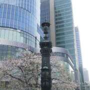 ヒメ日記 2026/04/01 14:06 投稿 上原姉さん 男性機能鍛錬道場