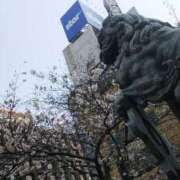 ヒメ日記 2026/04/05 11:34 投稿 上原姉さん 男性機能鍛錬道場