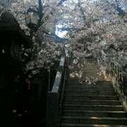 ヒメ日記 2026/04/06 23:26 投稿 上原姉さん 男性機能鍛錬道場