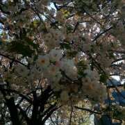上原姉さん 🌸暑いですね🌸 男性機能鍛錬道場