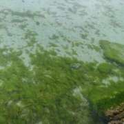 ヒメ日記 2025/03/09 11:16 投稿 桃原姉さん 男性機能鍛錬道場