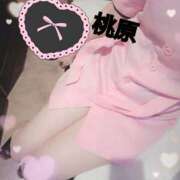 ヒメ日記 2025/03/18 07:54 投稿 桃原姉さん 男性機能鍛錬道場