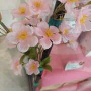 ヒメ日記 2025/03/26 13:15 投稿 桃原姉さん 男性機能鍛錬道場